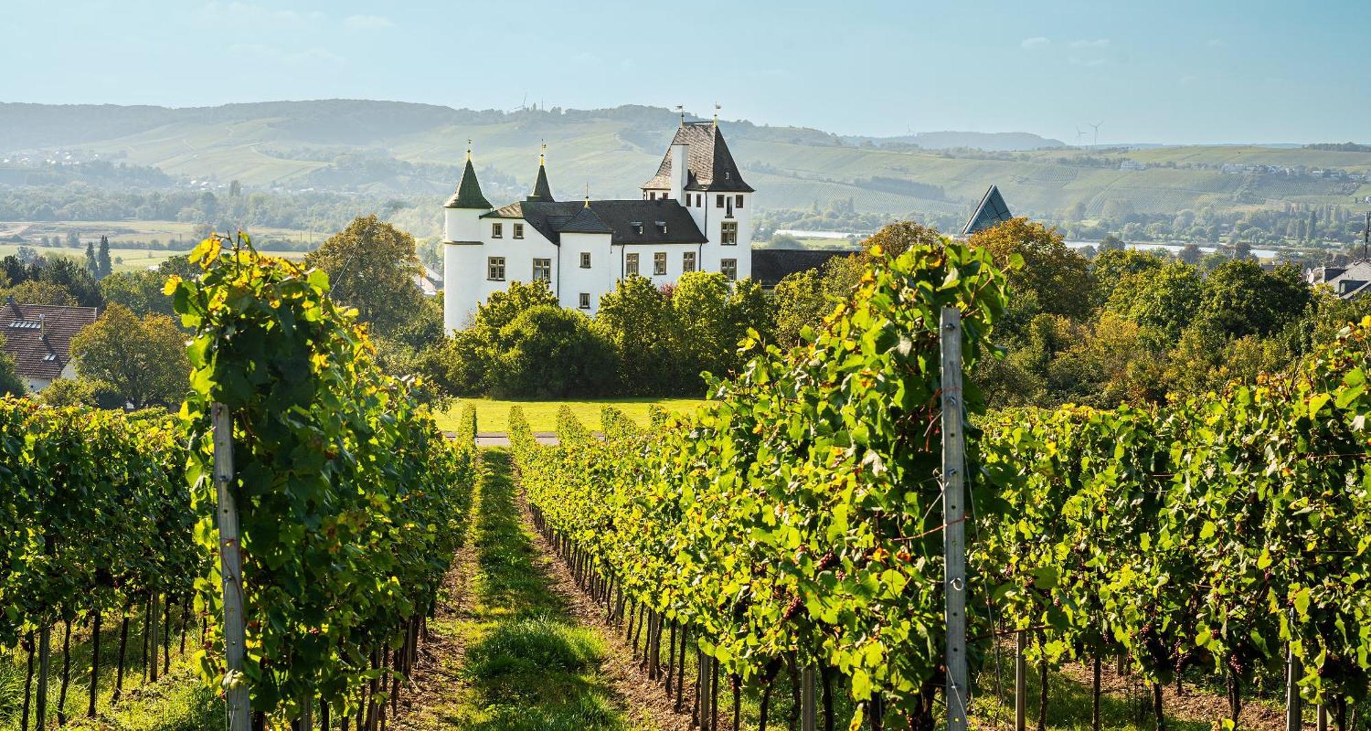 Victor'S Residenz-Hotel Schloss Berg Ненниг Экстерьер фото Schloss Vollrads